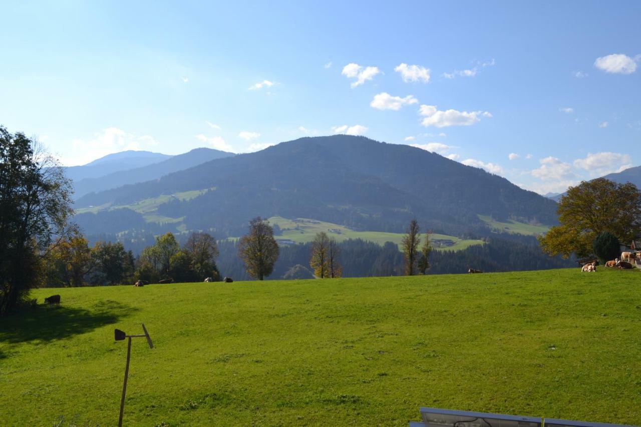 Landhaus Desiree Hopfgarten im Brixental Εξωτερικό φωτογραφία