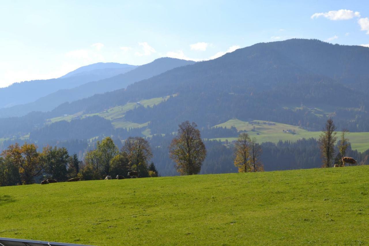 Landhaus Desiree Hopfgarten im Brixental Εξωτερικό φωτογραφία